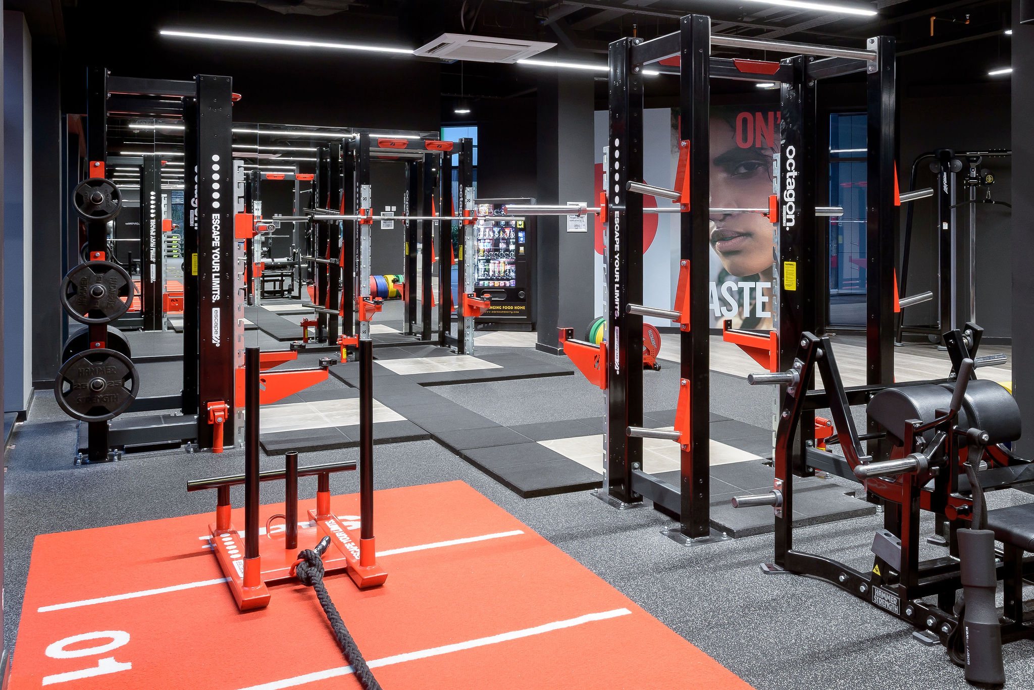 Image of True Swansea