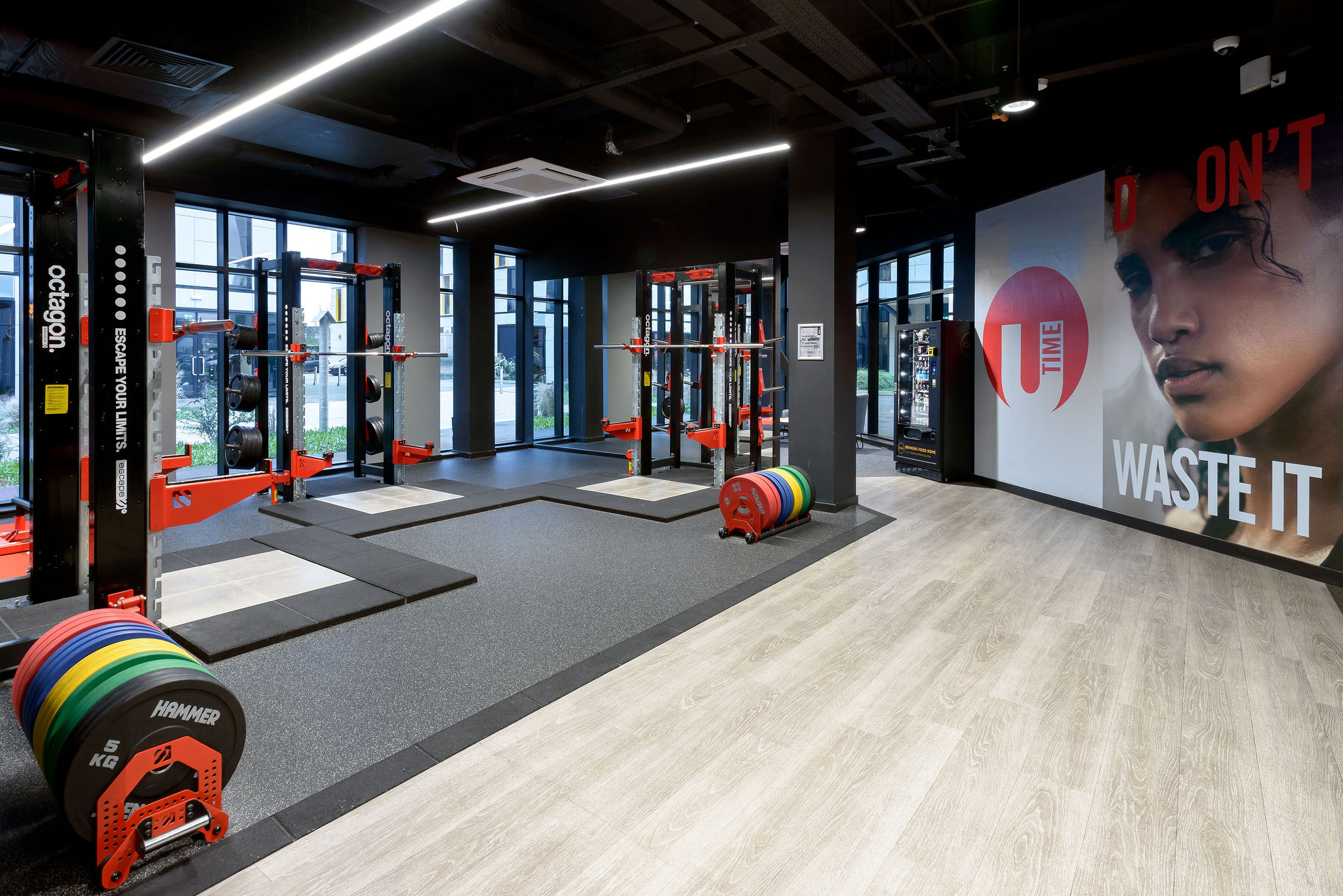 Image of True Swansea