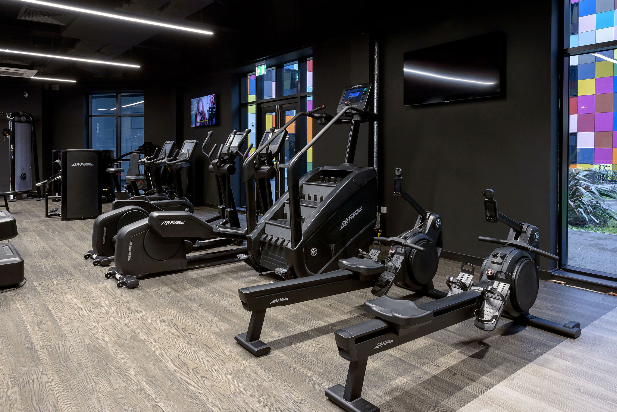 Image of True Swansea