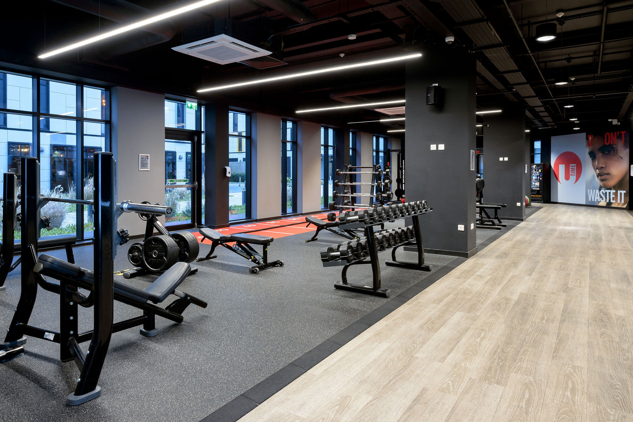 Image of True Swansea