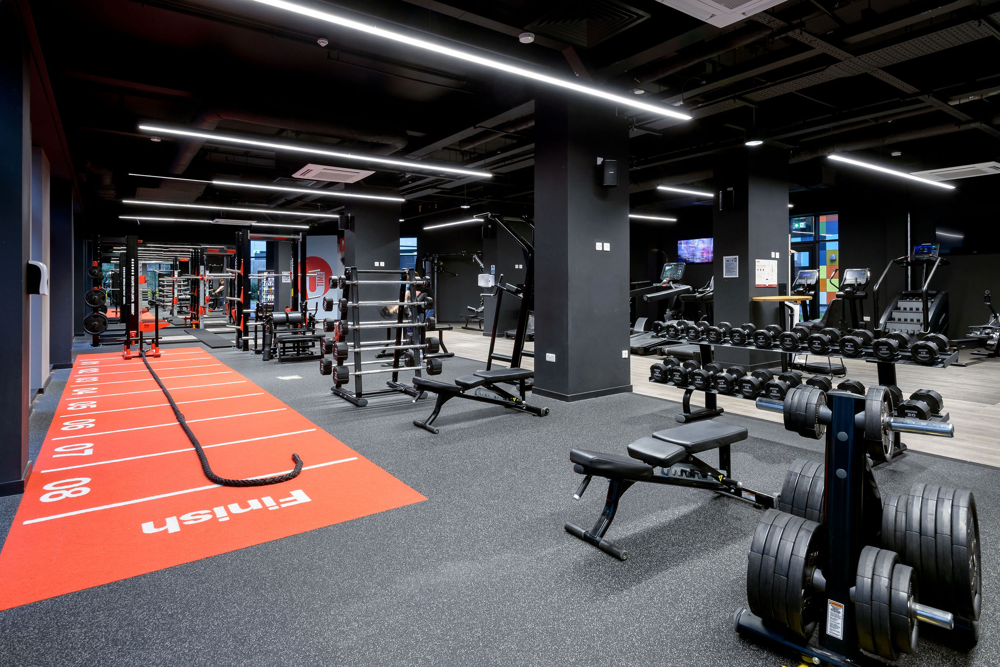 Image of True Swansea