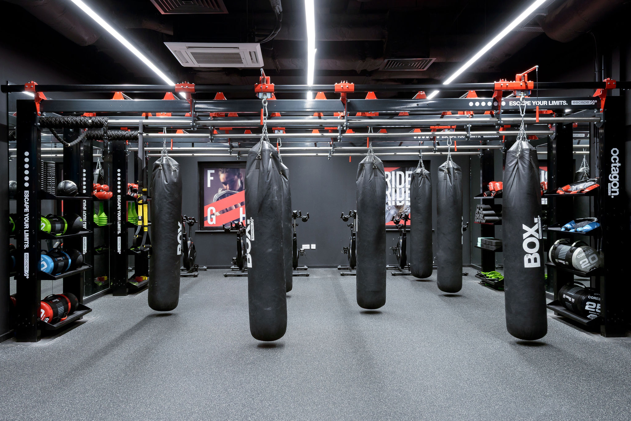 Image of True Swansea