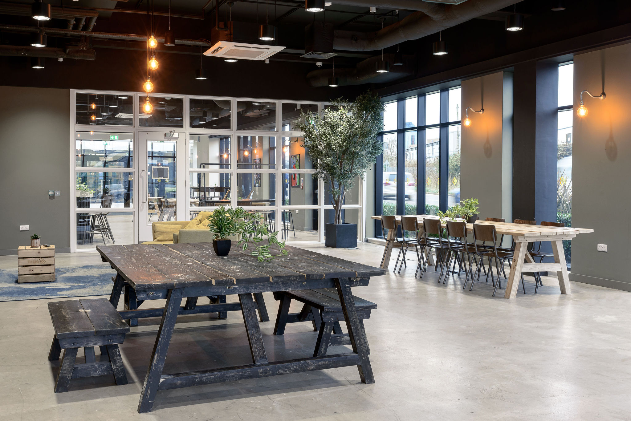 Image of True Swansea