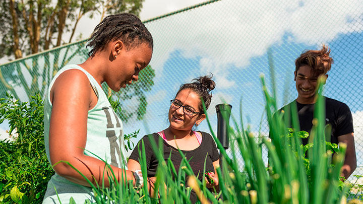 Image of Unilodge @ Curtin University- Vickery House, Perth