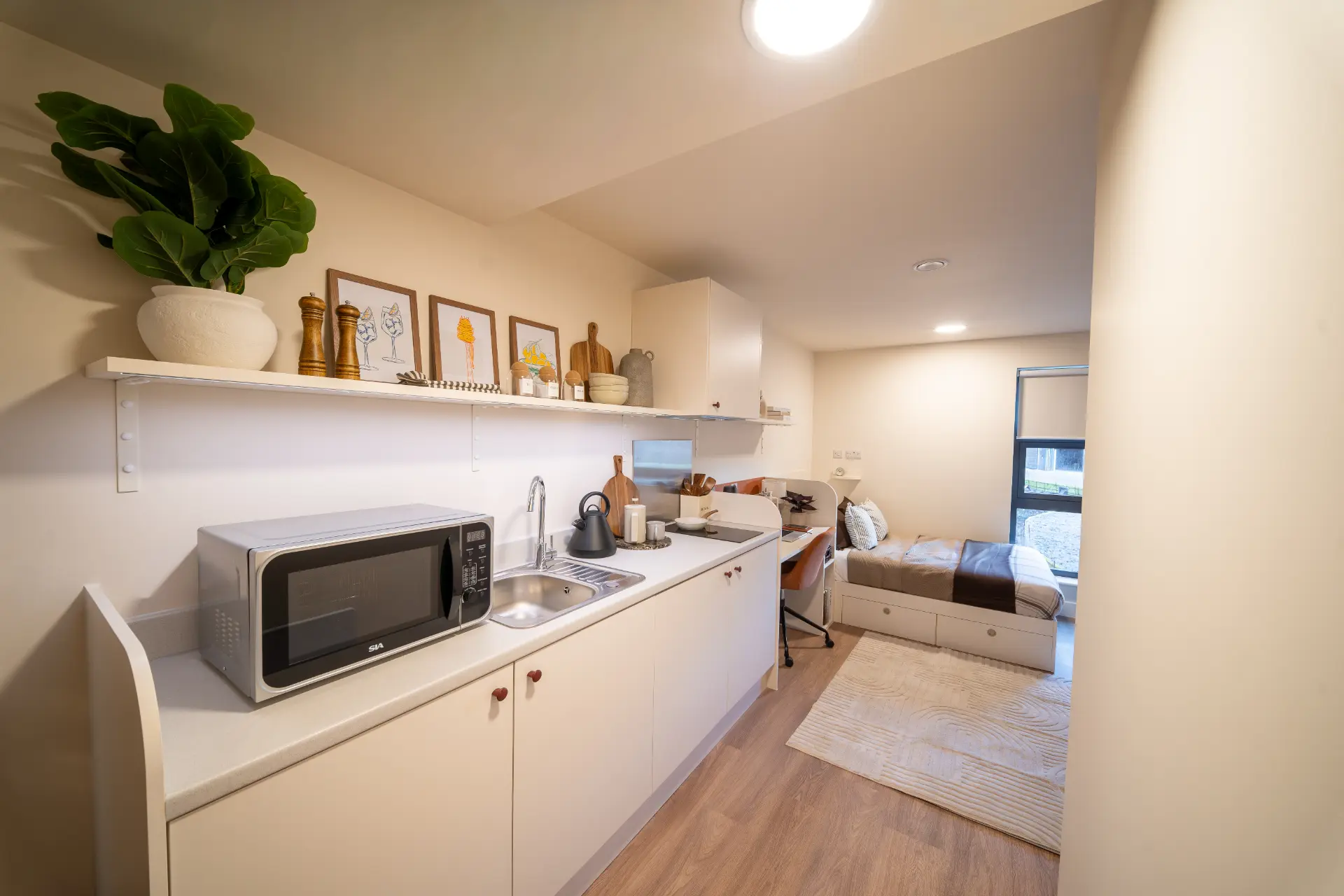 Image of Valerian, York