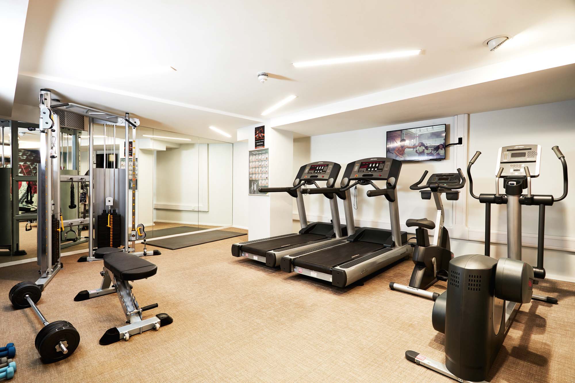 Image of Vita Student Zed Alley, Bristol