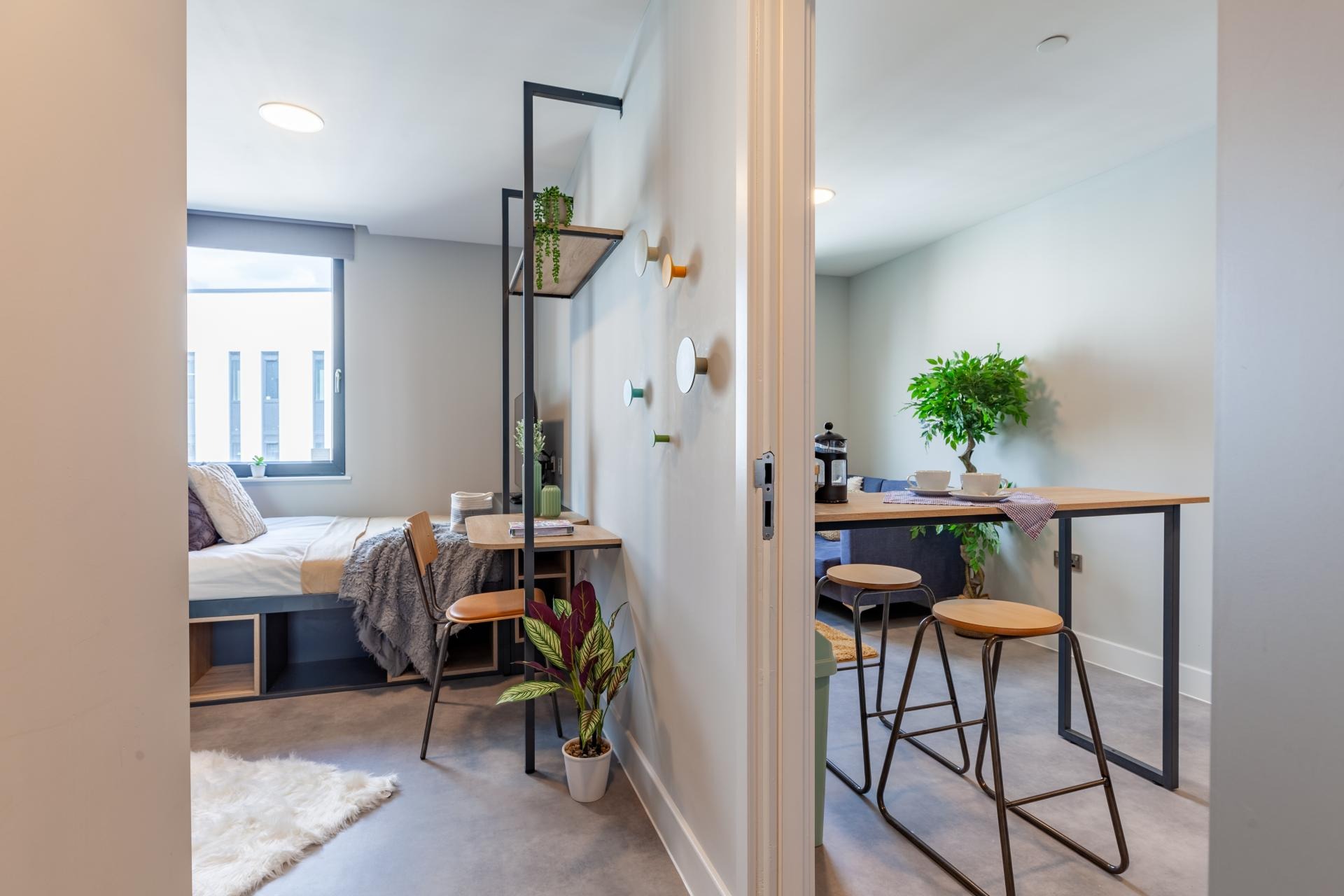 2 Bed Apartment - image 14