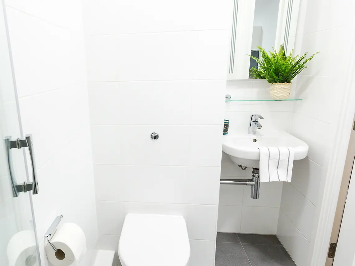 4-Bed Cluster Ensuite - image 9