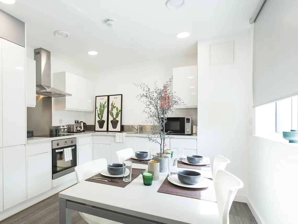 4-Bed Cluster Ensuite - image 8