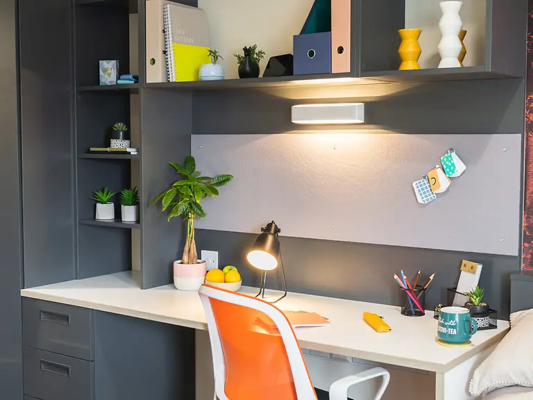 Premium Studio - image 8