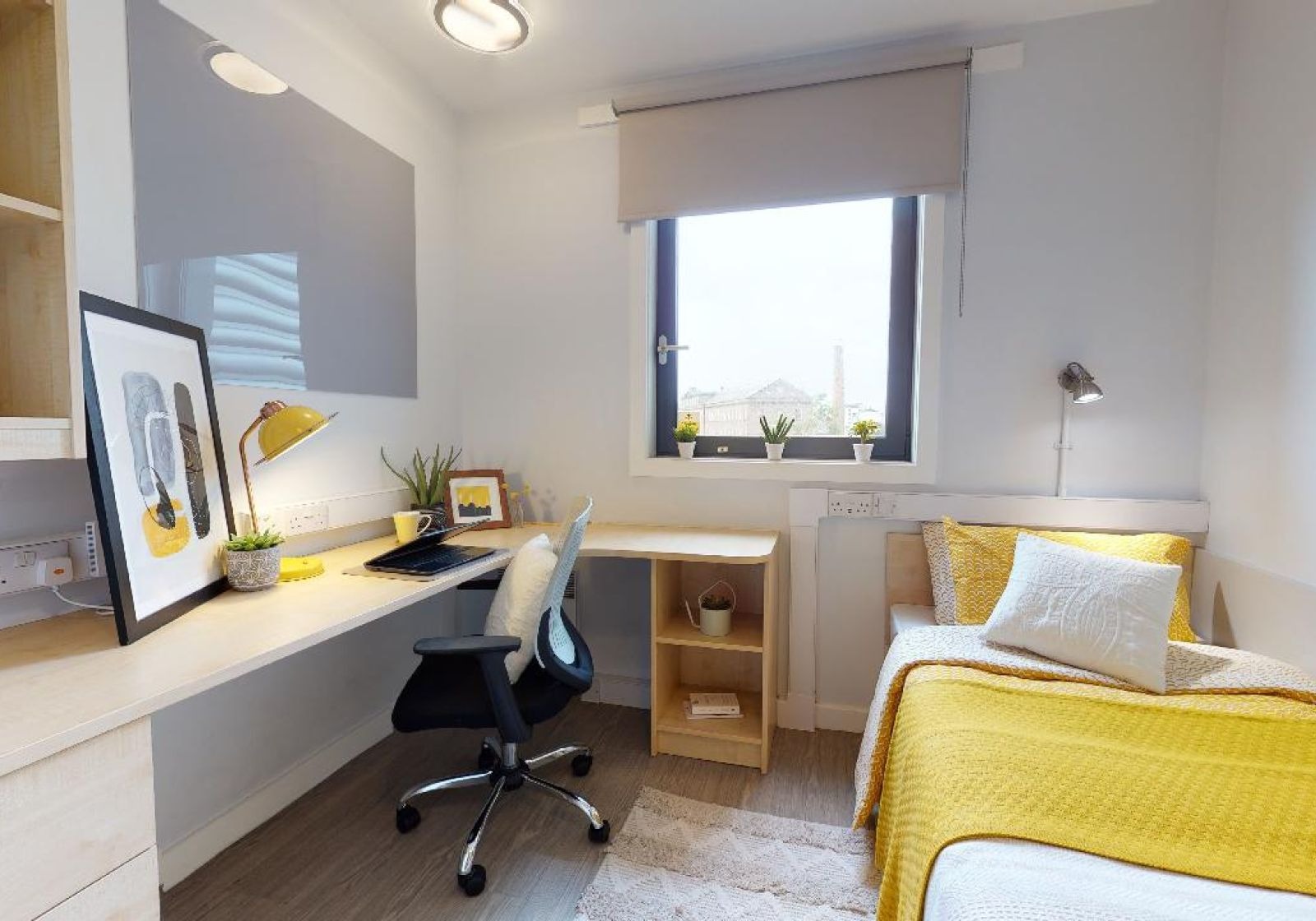 Bronze En Suite Plus at iQ Parker House, Dundee