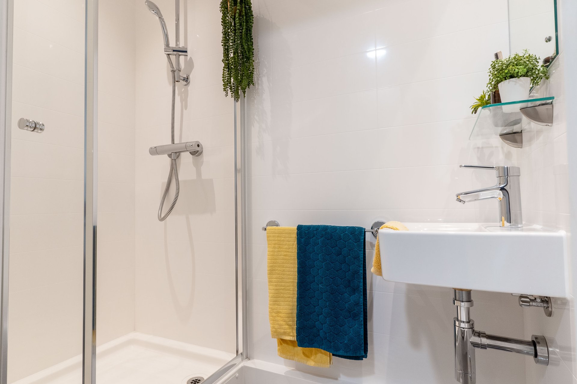 Bronze Plus Ensuite - image 16