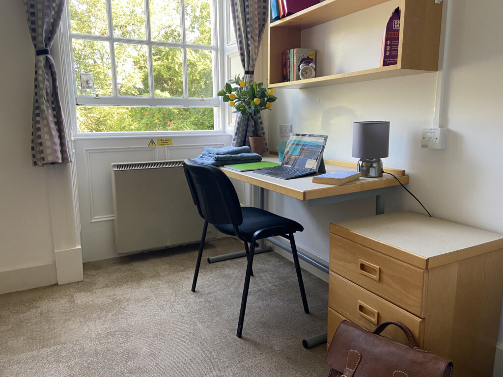 Classic Bedroom - image 7