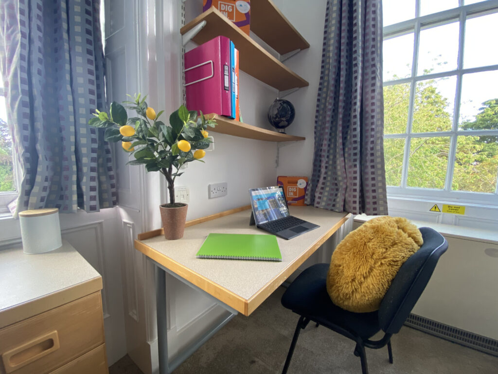 Classic Bedroom - image 9