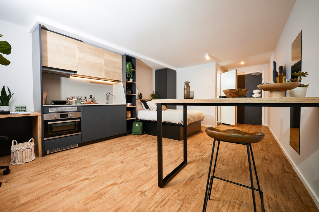 Classic Plus Studio - image 8