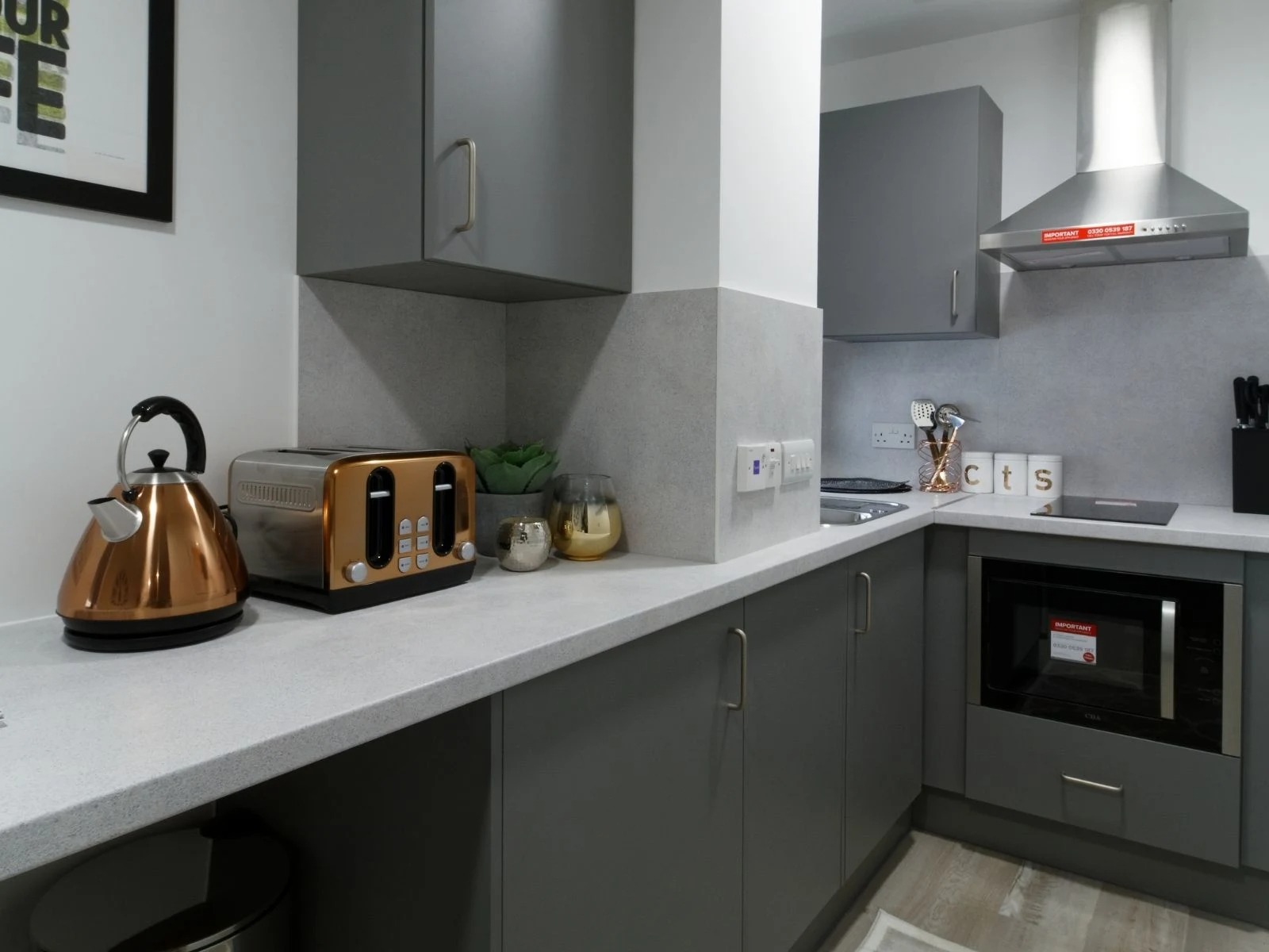 Classic Studio - image 8