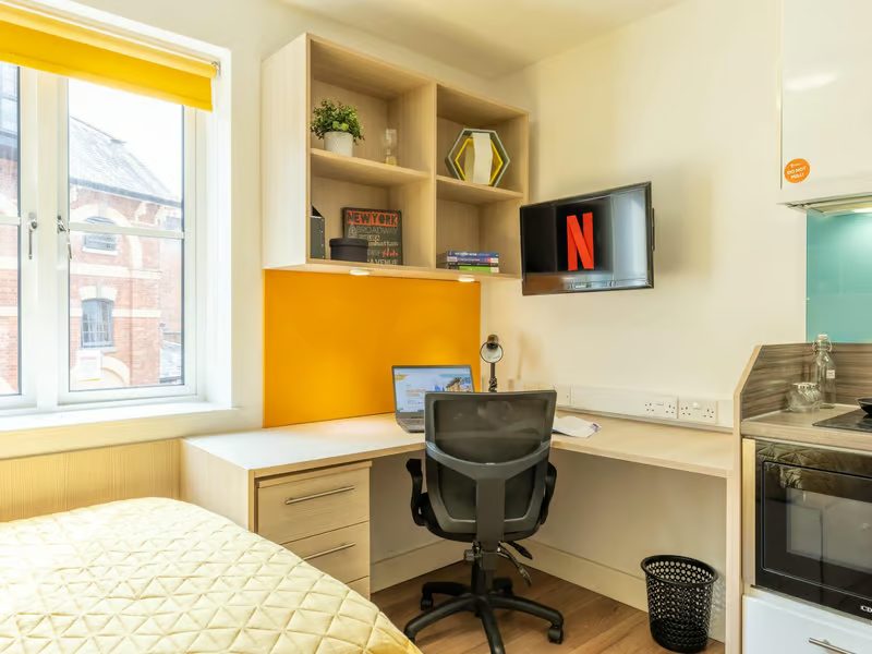 Classic Studio – Limited View - image 9