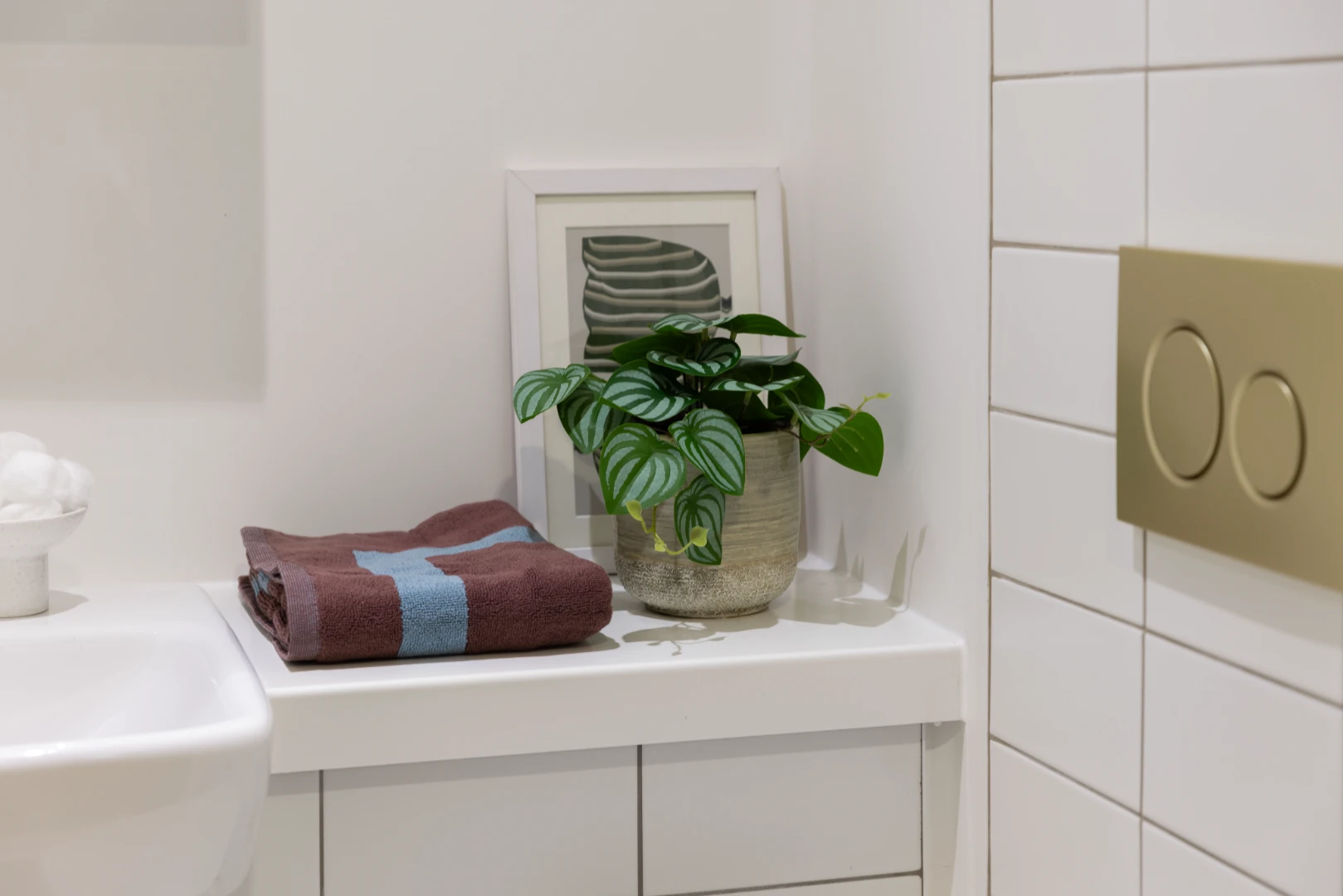 Comfy 1 Studio - image 10
