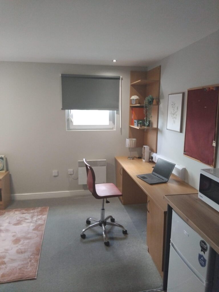 Deluxe Plus Studio - image 9
