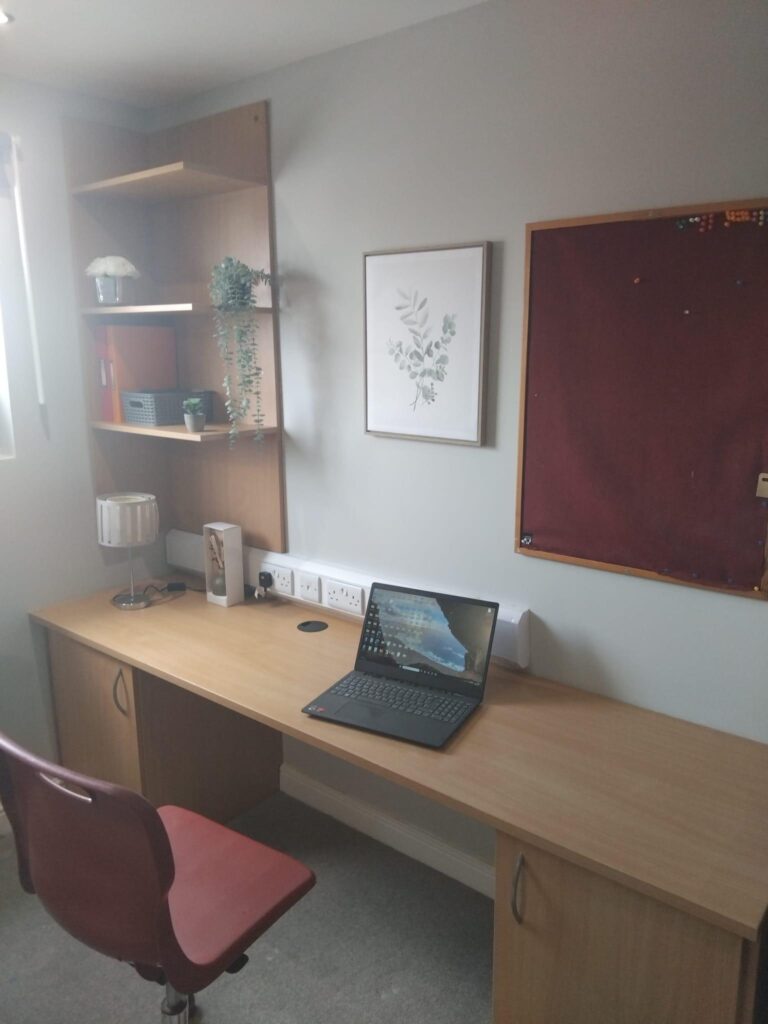 Deluxe Plus Studio - image 8