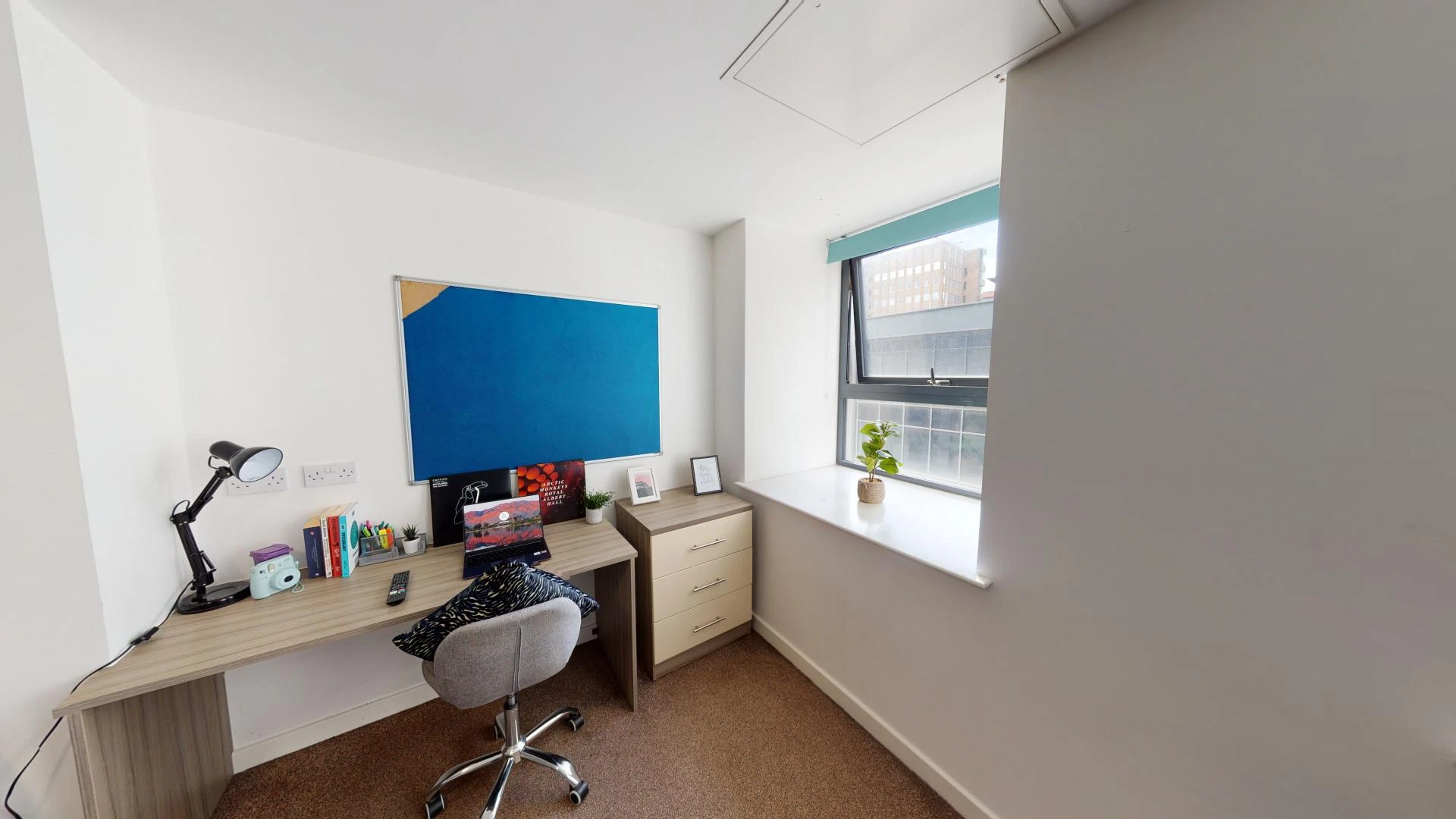 Deluxe Plus Studio - image 9