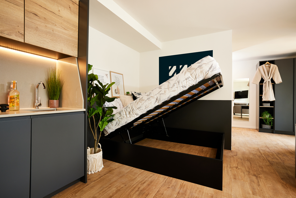 Deluxe Studio - image 10