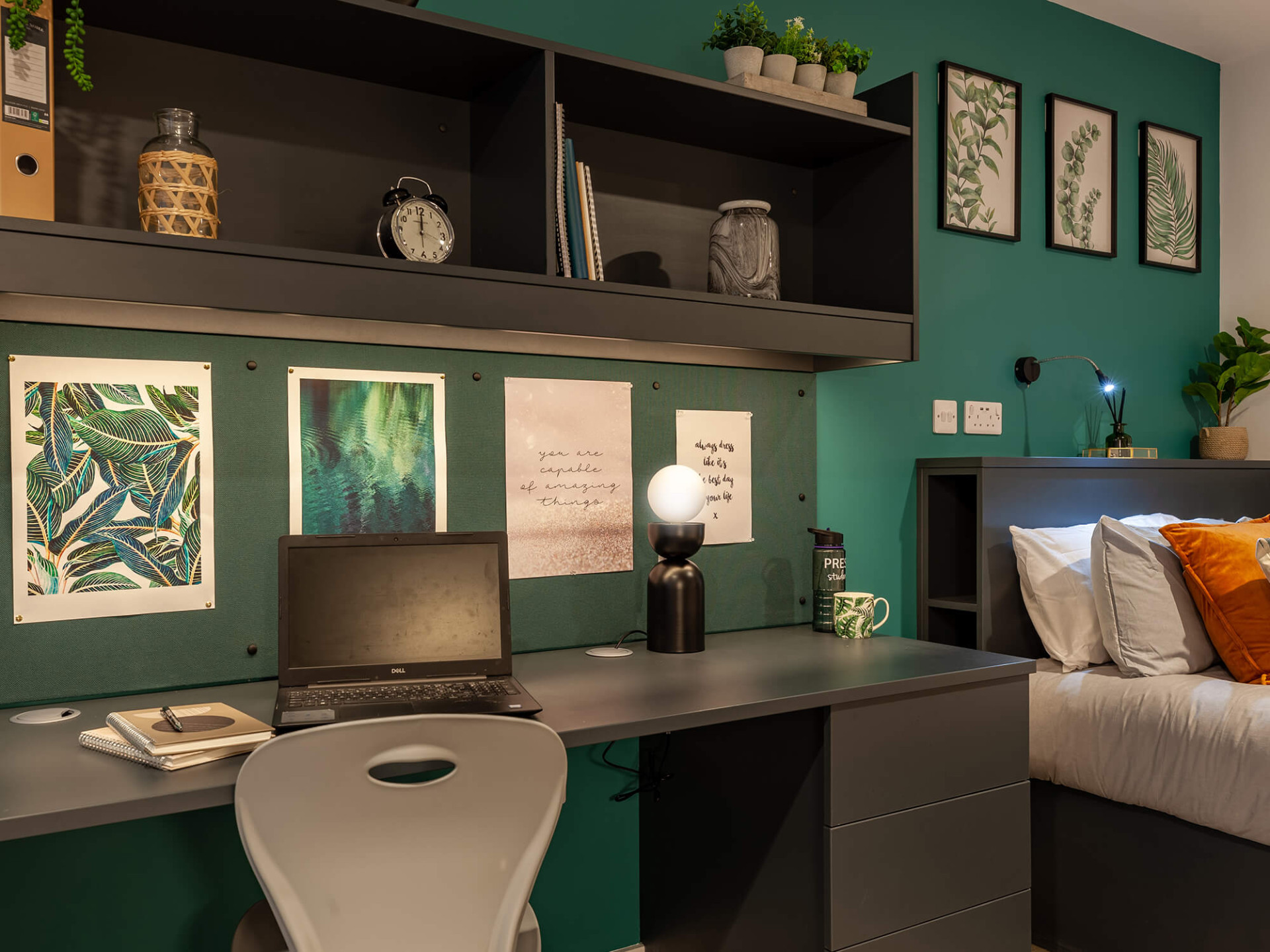 Deluxe Studio - image 8
