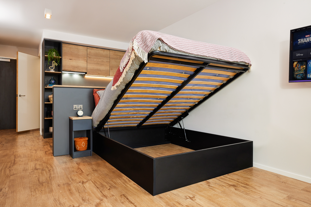 Deluxe Studio - image 8