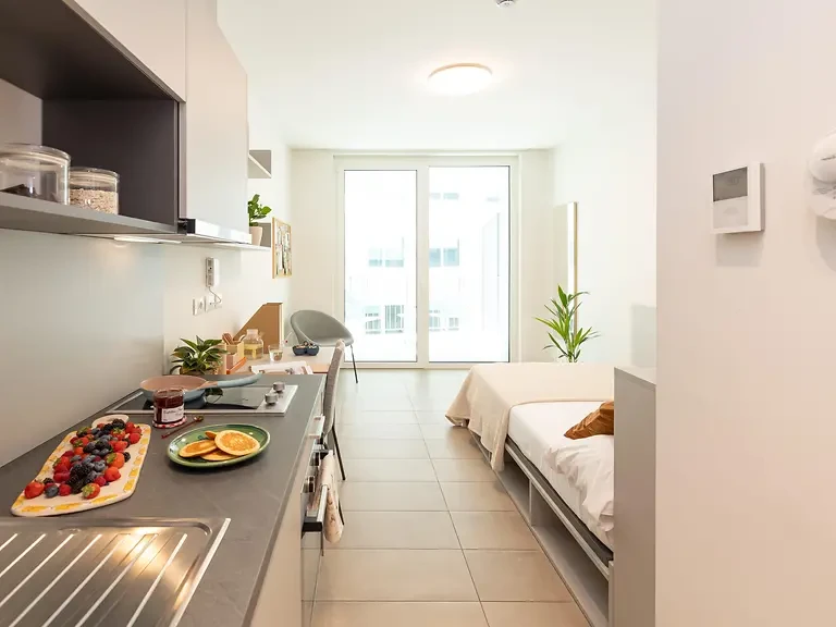 Deluxe Studio With Balcony - image 13