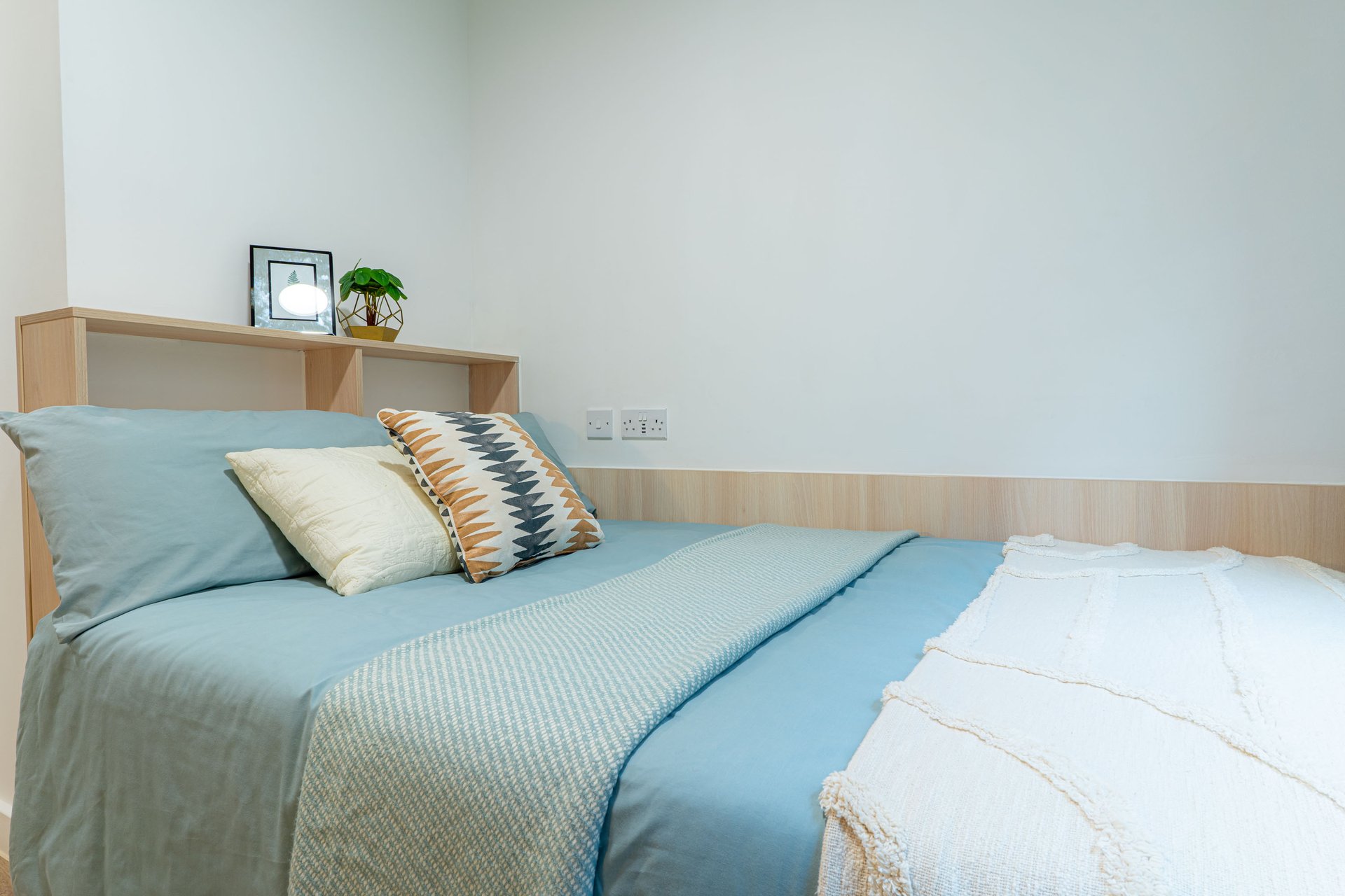 Gold Ensuite - image 7