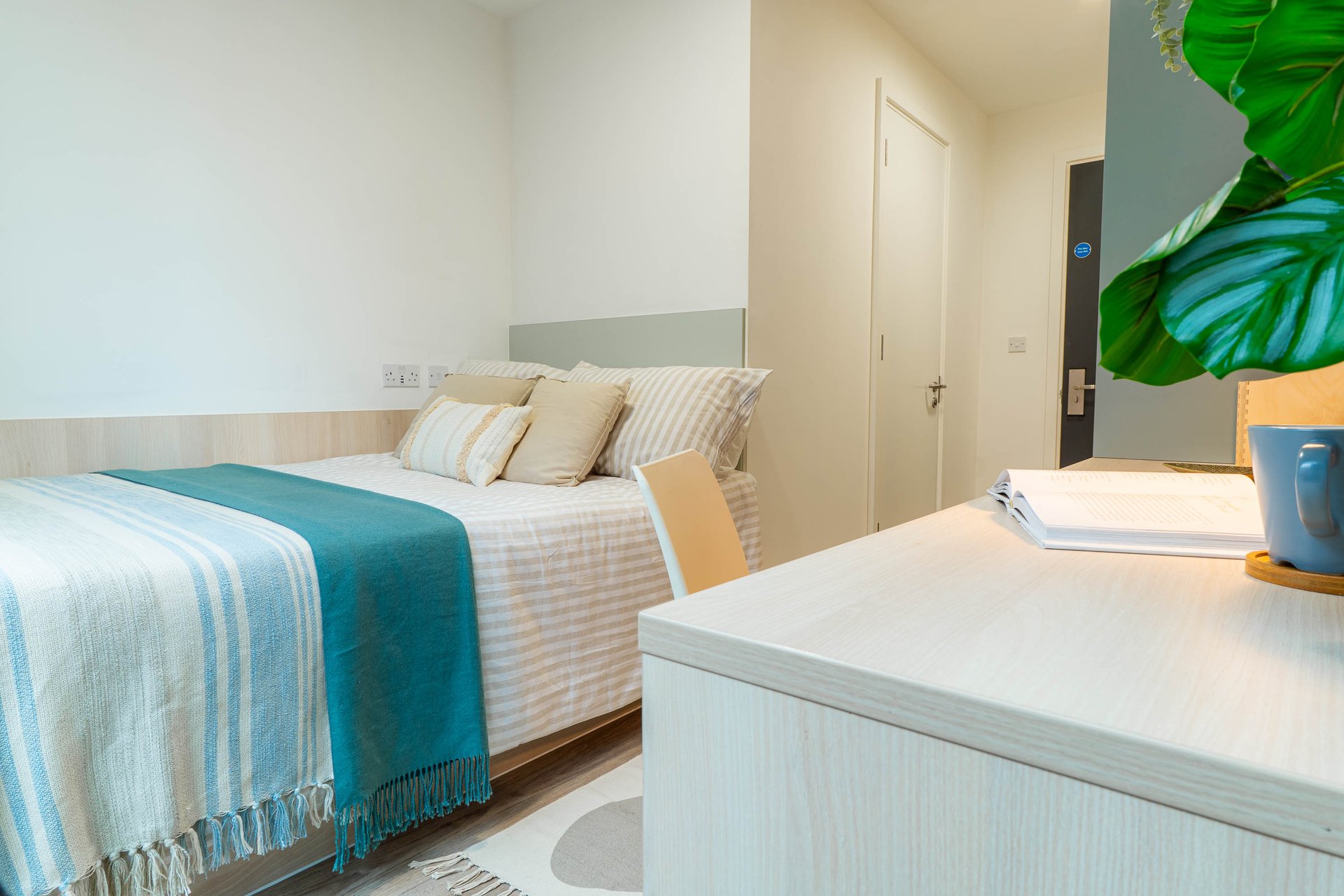 Gold Plus Ensuite - image 10