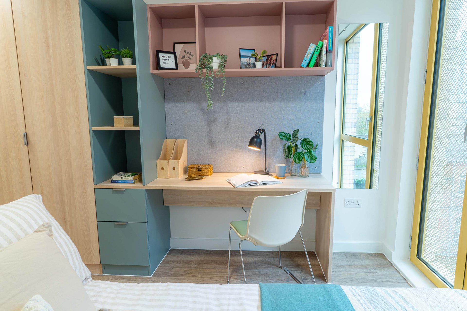 Gold Plus Ensuite - image 13