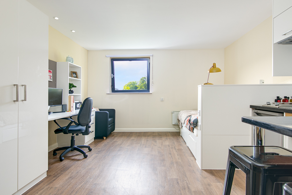 Gold Studio - image 8