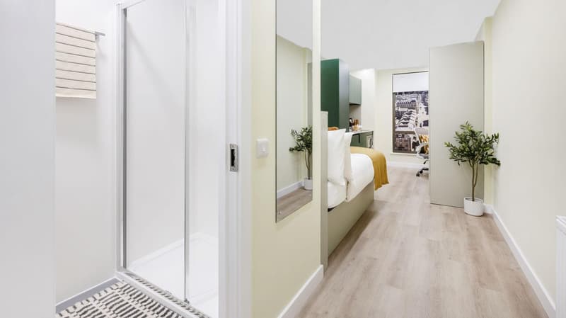 Luxury Studio - image 7
