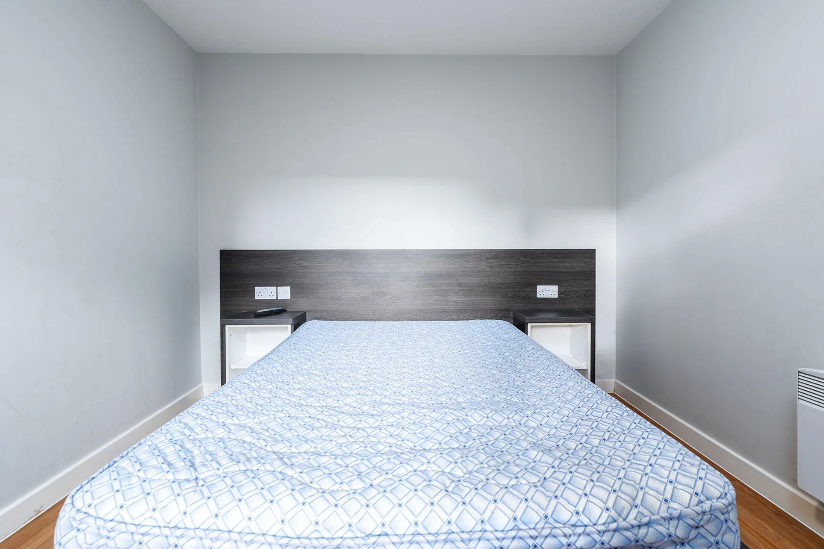 One Bedroom Apartment - image 8