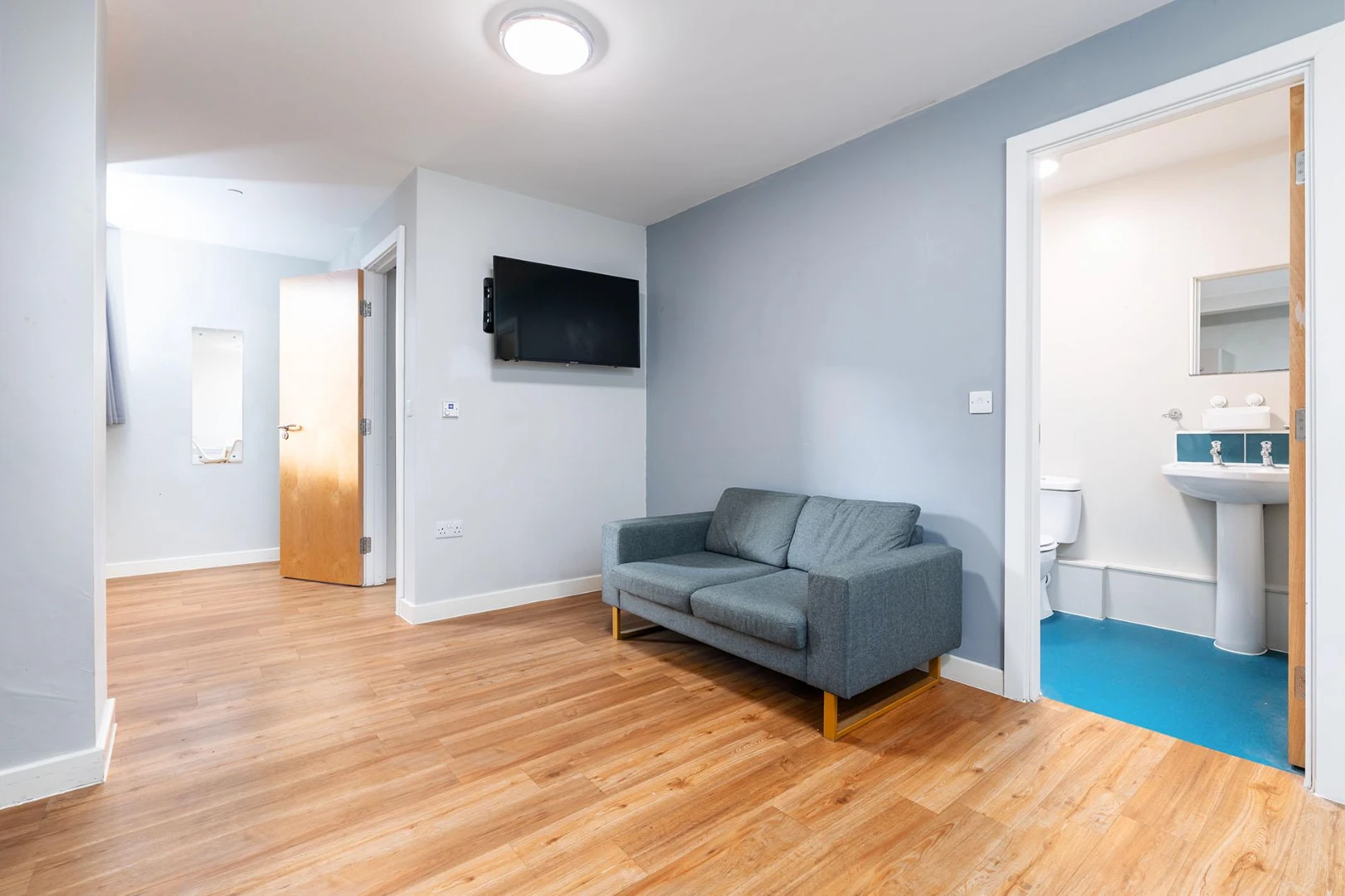 One Bedroom Apartment - image 16