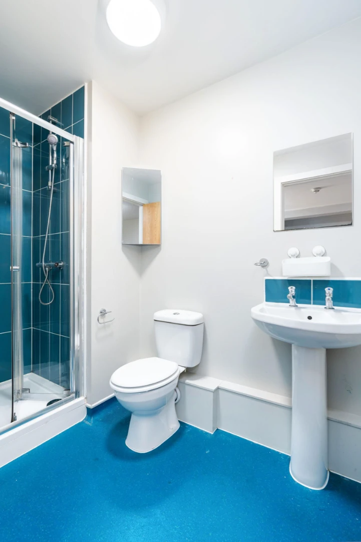 One Bedroom Apartment - image 15