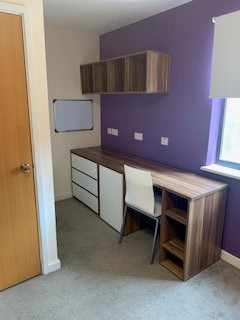 Premier Luxe En-Suite, Behn Hall - image 7