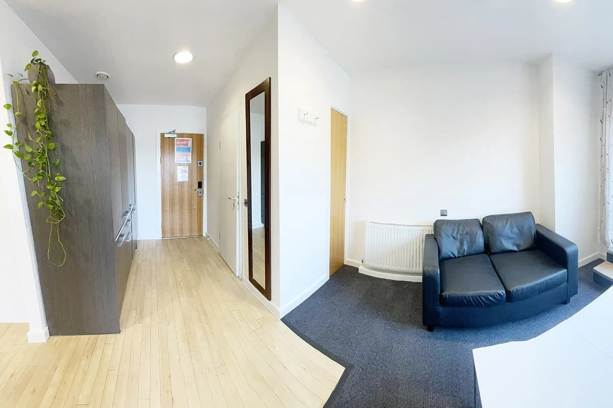 Premium 4 Studio - image 7