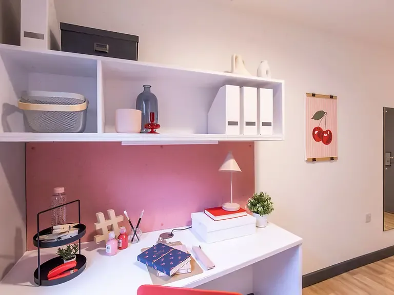 6 Bed En-suite - image 8