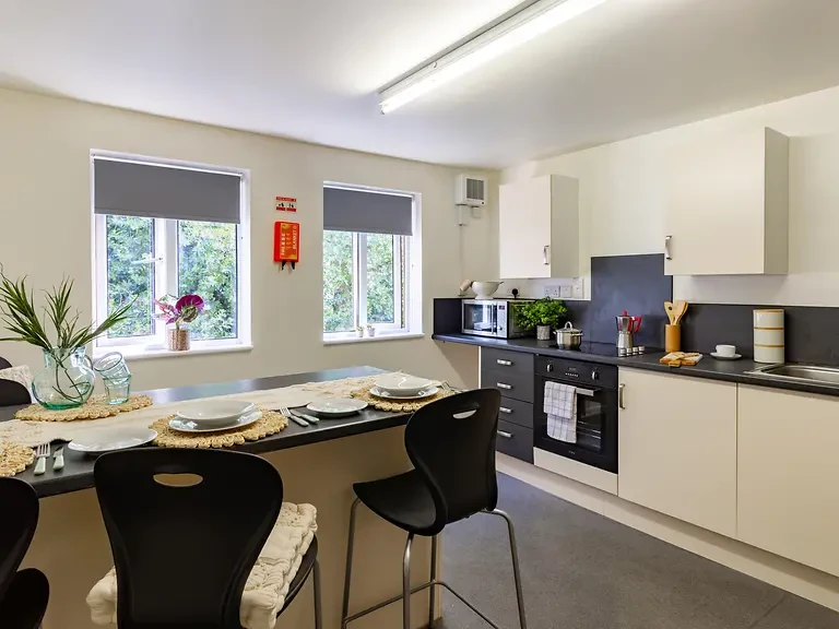 Premium En Suite - image 8