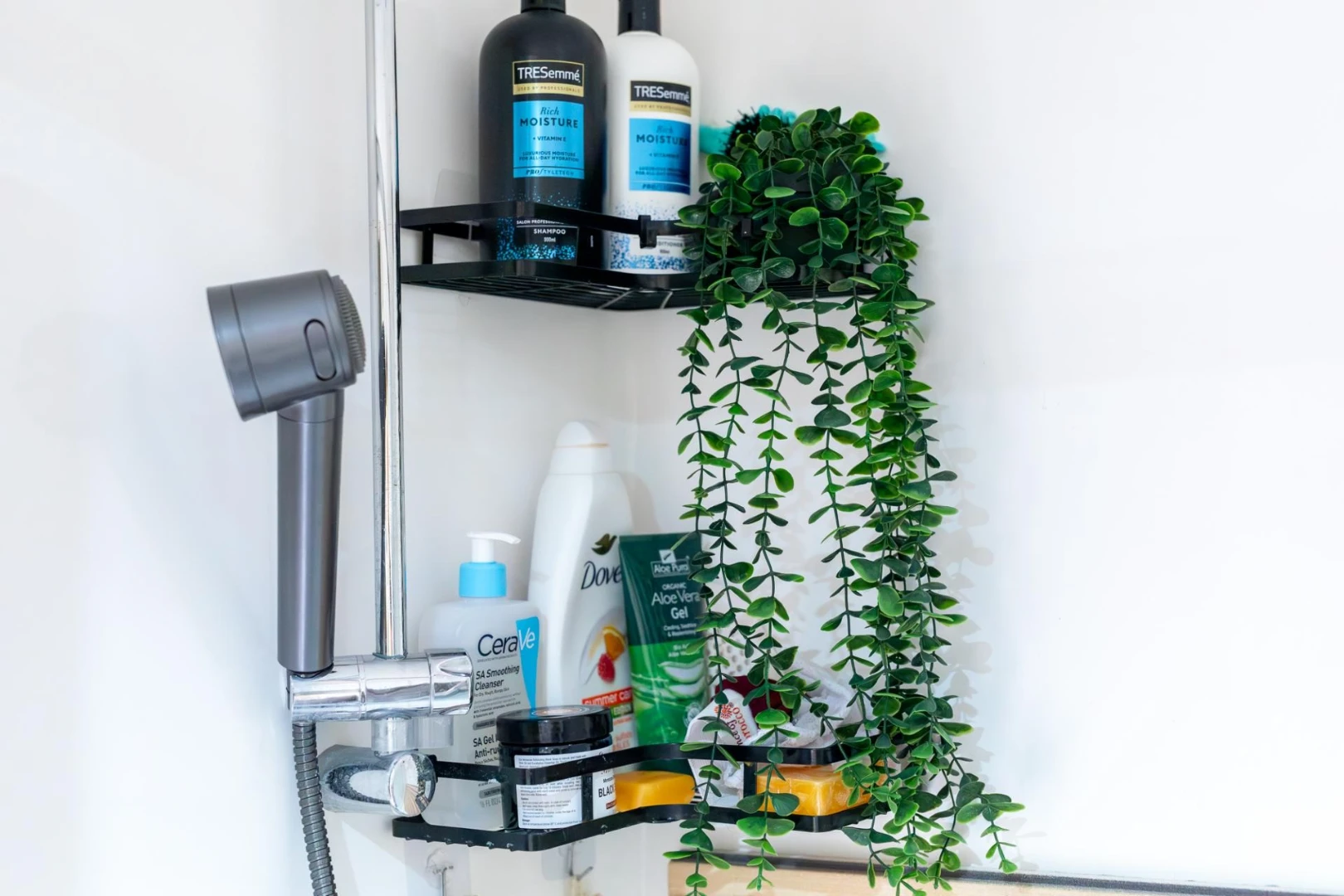 Premium Ensuite - image 11