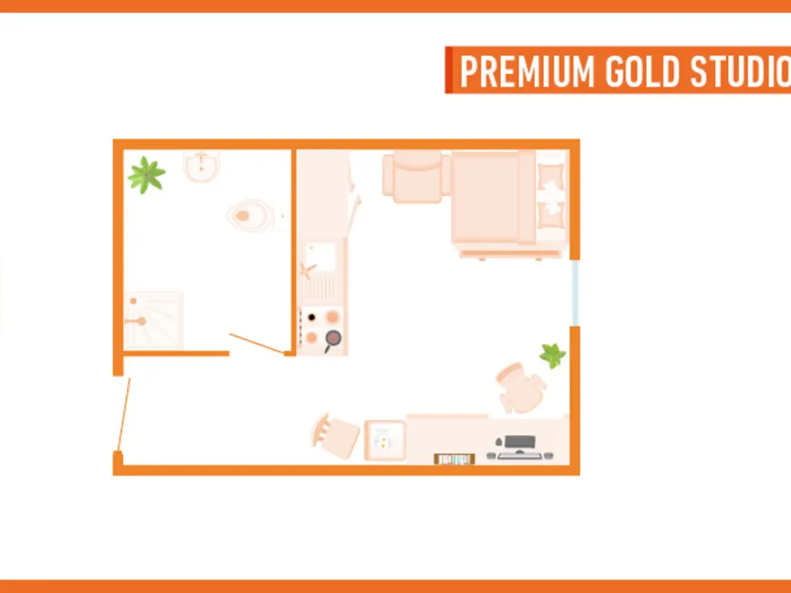 Premium Gold Studio - image 7