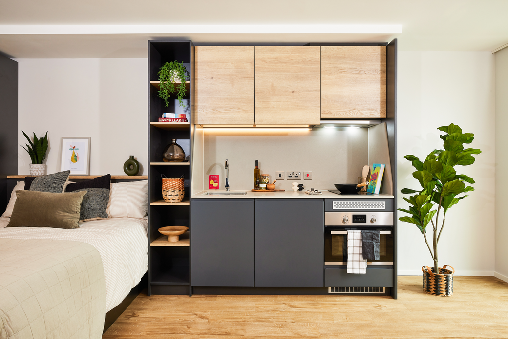 Premium Plus Studio - image 8