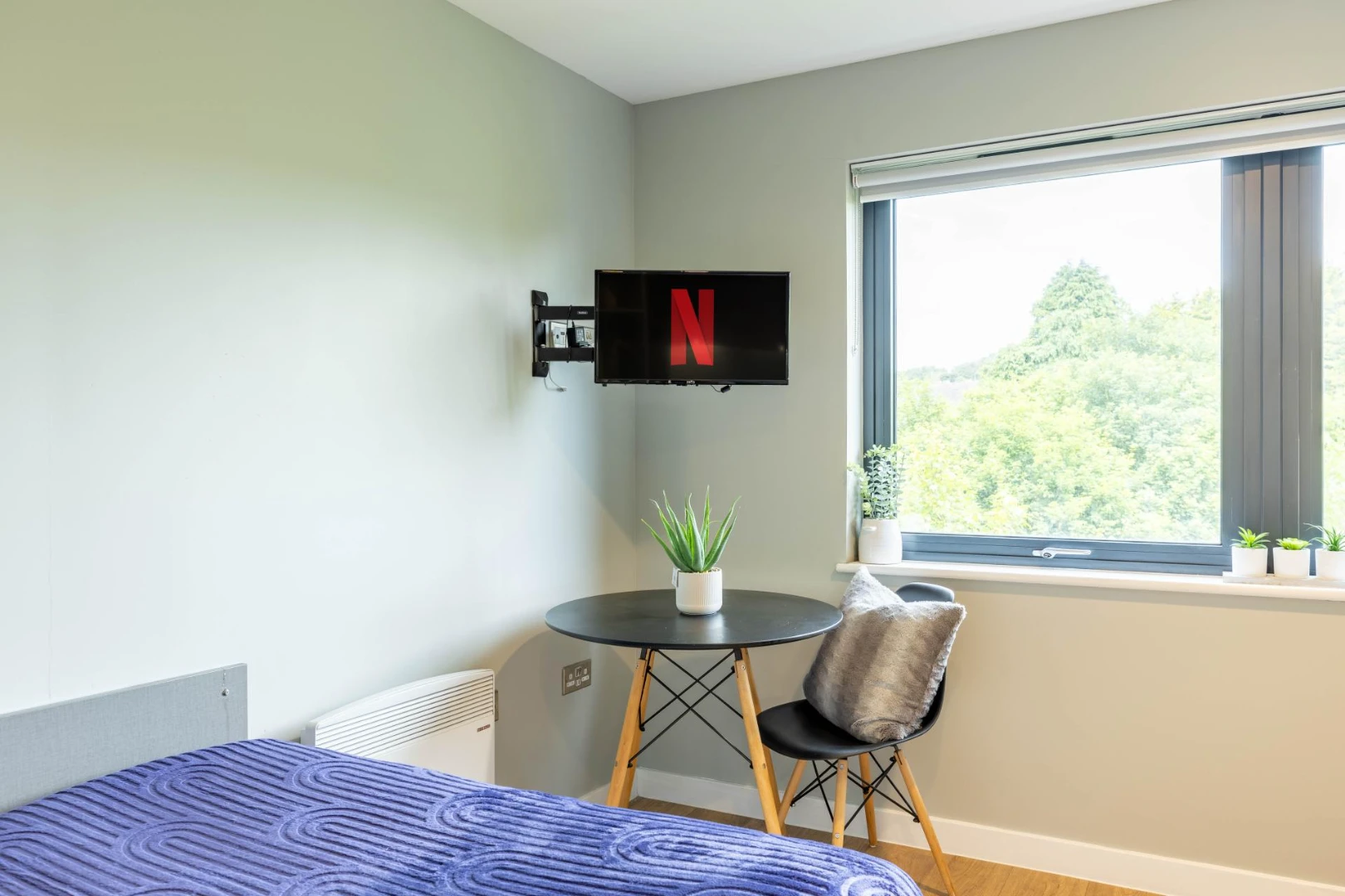 Premium Studio - image 11