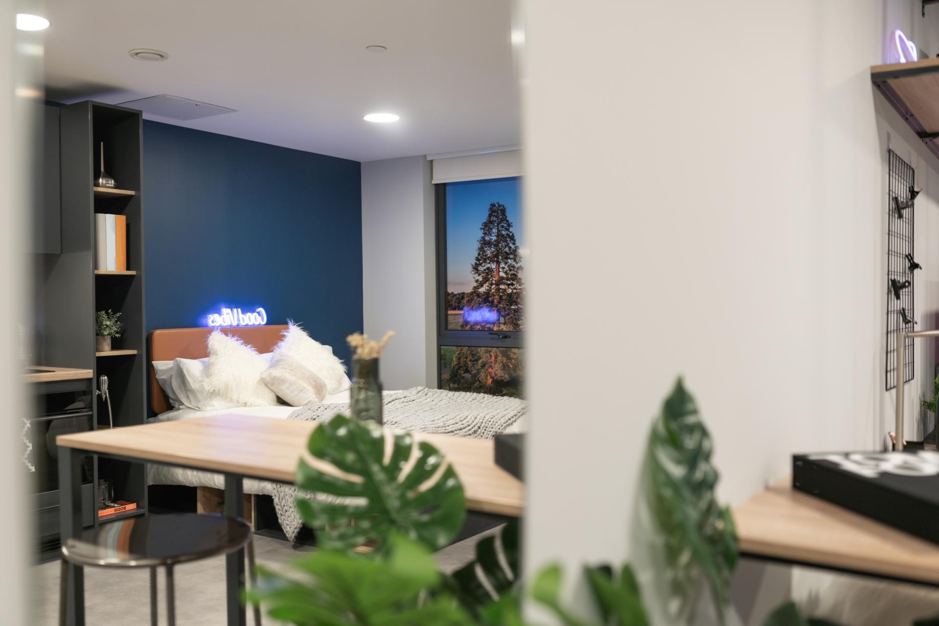 Premium Studio - image 10