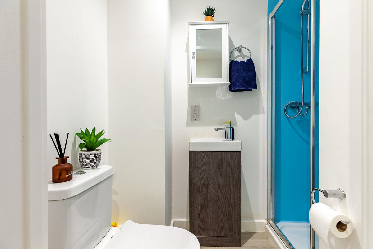 Premium Studio - image 7