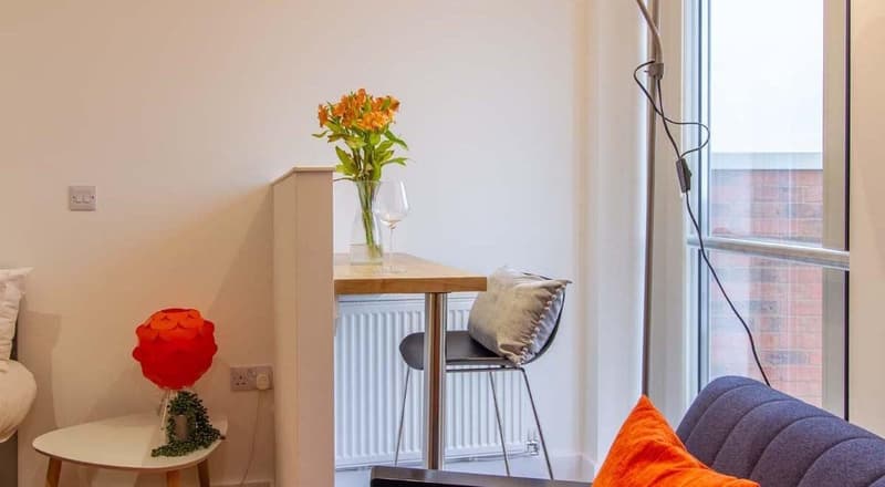 Premium Studio - image 9