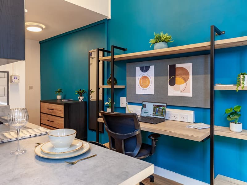 Premium Studios - image 8
