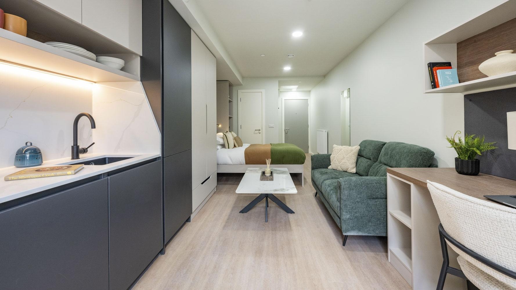 Premium Terrace Studio - image 7